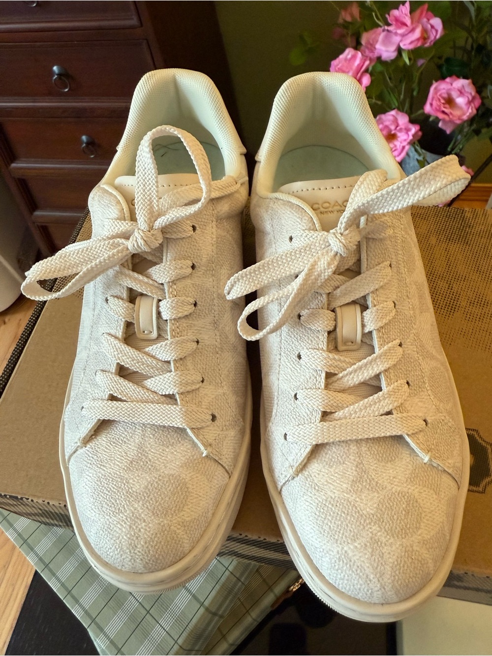 Coach Women's High Line Signature Low-Top Sneaker in Box